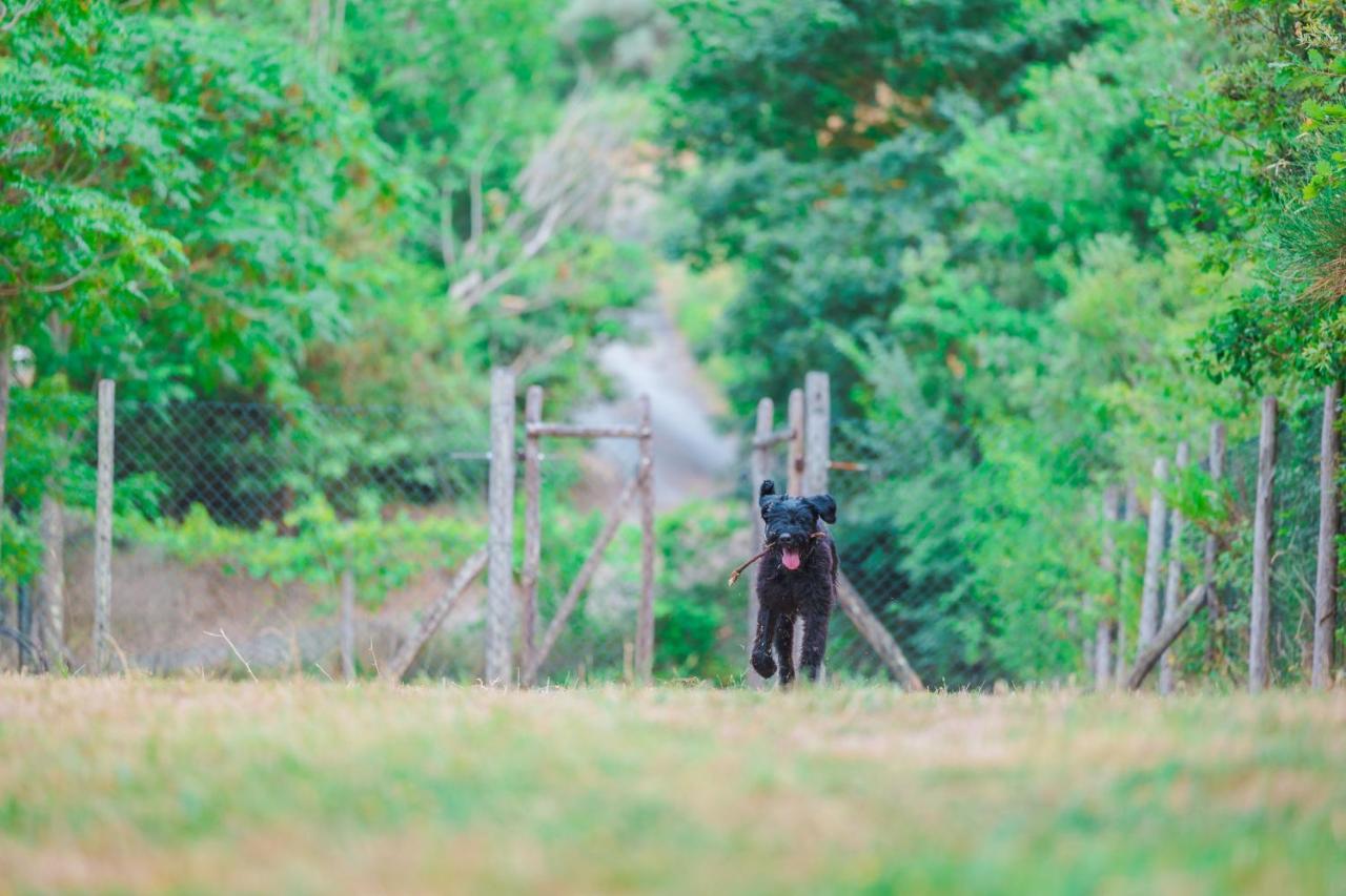 Le Pianacce Camping Village กัสตาลเญโต การ์ดุชชี ภายนอก รูปภาพ