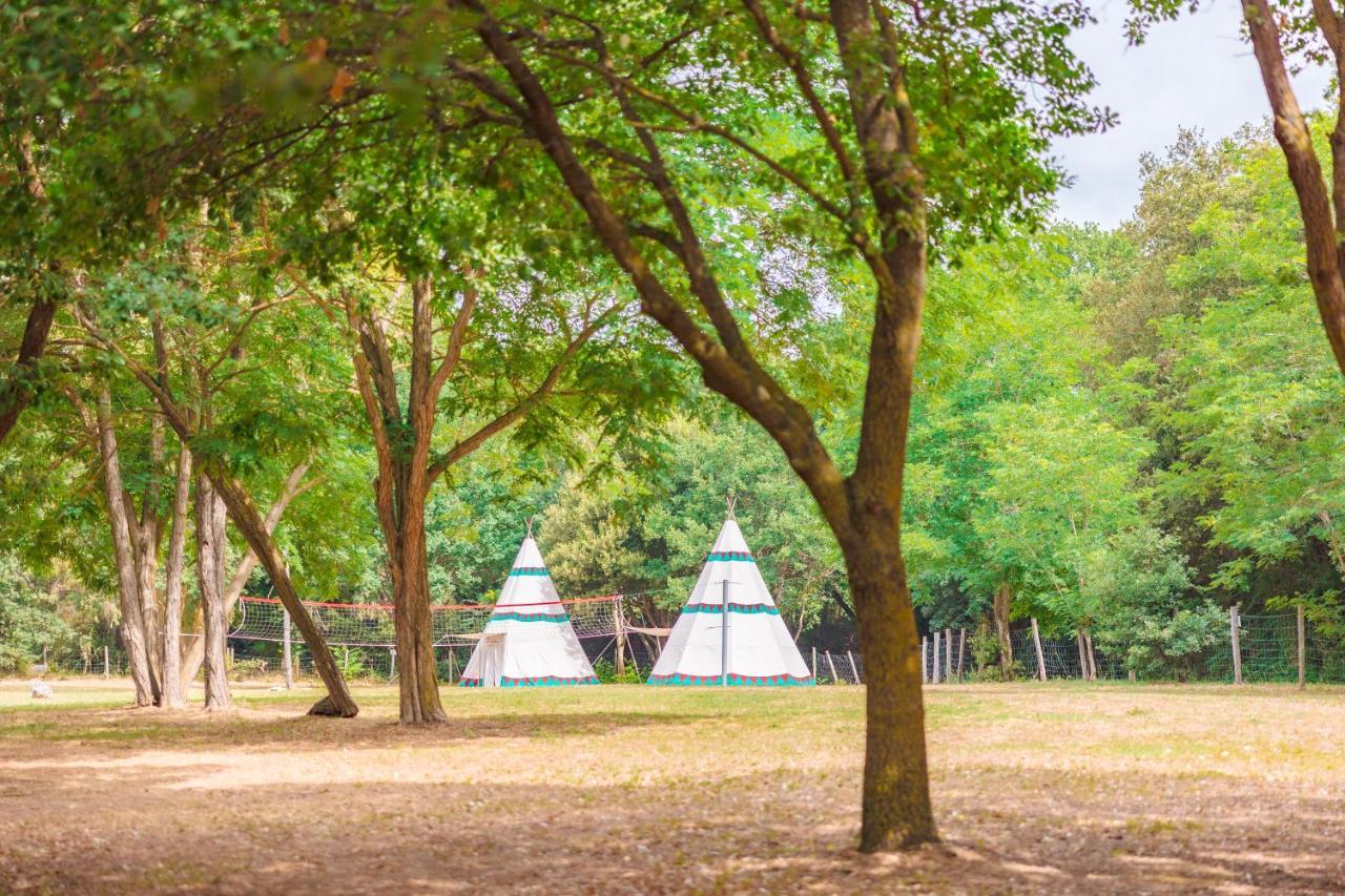Le Pianacce Camping Village กัสตาลเญโต การ์ดุชชี ภายนอก รูปภาพ